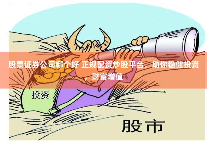 股票证券公司哪个好 正规配资炒股平台，助你稳健投资，财富增值
