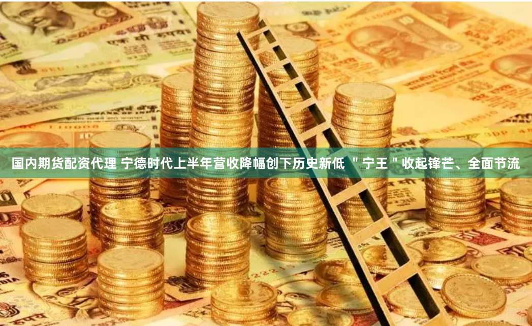 国内期货配资代理 宁德时代上半年营收降幅创下历史新低 ＂宁王＂收起锋芒、全面节流