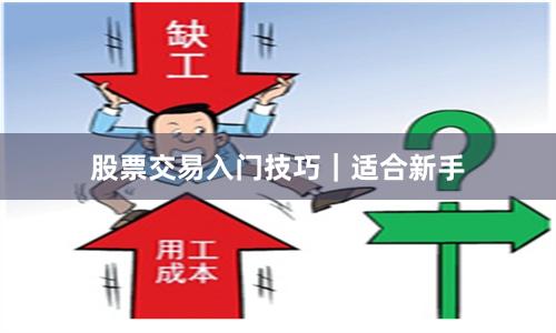 股票交易入门技巧｜适合新手